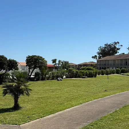 2 Pieces Bord De Linguizzetta