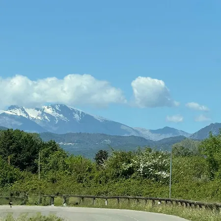 2 Pieces Bord De * Linguizzetta