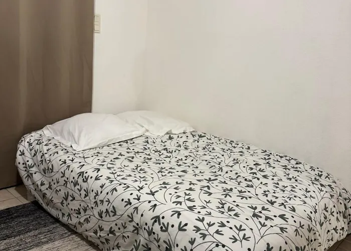 Appartement 2 Pieces Bord De