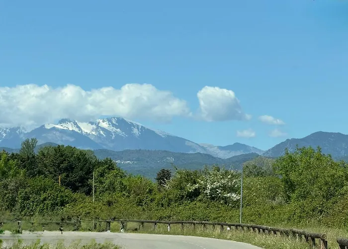 2 Pieces Bord De * Linguizzetta